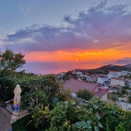 招待所 Lida's House