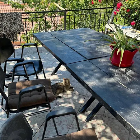 Lida's House Guest house *