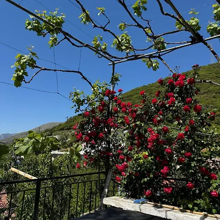 Lida's House 招待所 Lukovë