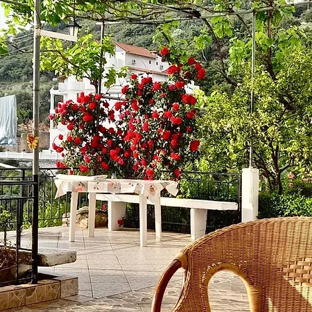 Lida's House بيت ضيافة Lukovë