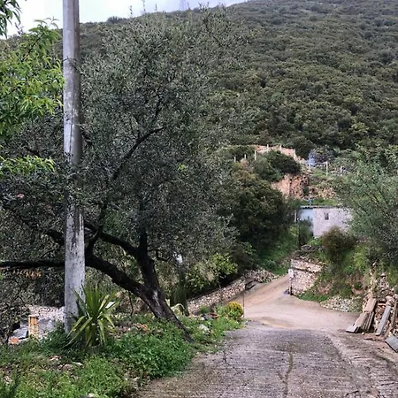 Lida's House بيت ضيافة 3*