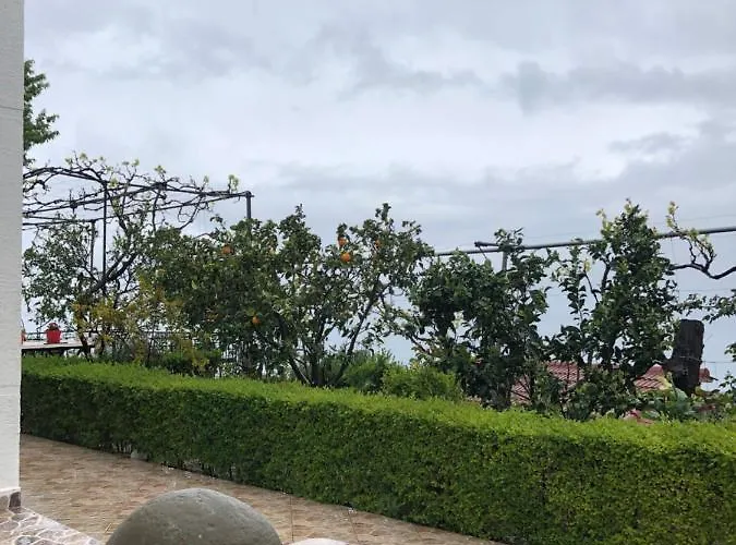 Lida's House Guest house Lukove