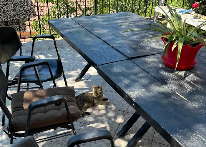 Lida's House Guest house 3*