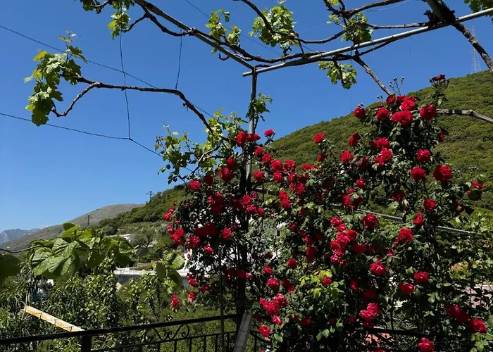 Lida's House Guest house Lukove